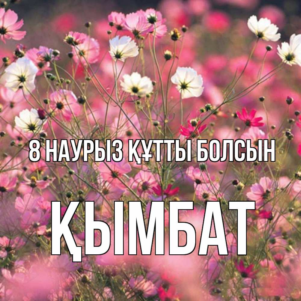 Күн сайын ашық хат с именем, ҚЫМБАТ 8 наурыз құтты болсын красиво 1 Онлайн тегін жүктеп алу тілектері бар керемет карта 