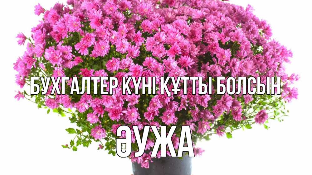 Күн сайын ашық хат с именем, ӘУЖА бухгалтер күні құтты болсын с днем бухгалтера Онлайн тегін жүктеп алу тілектері бар керемет карта 