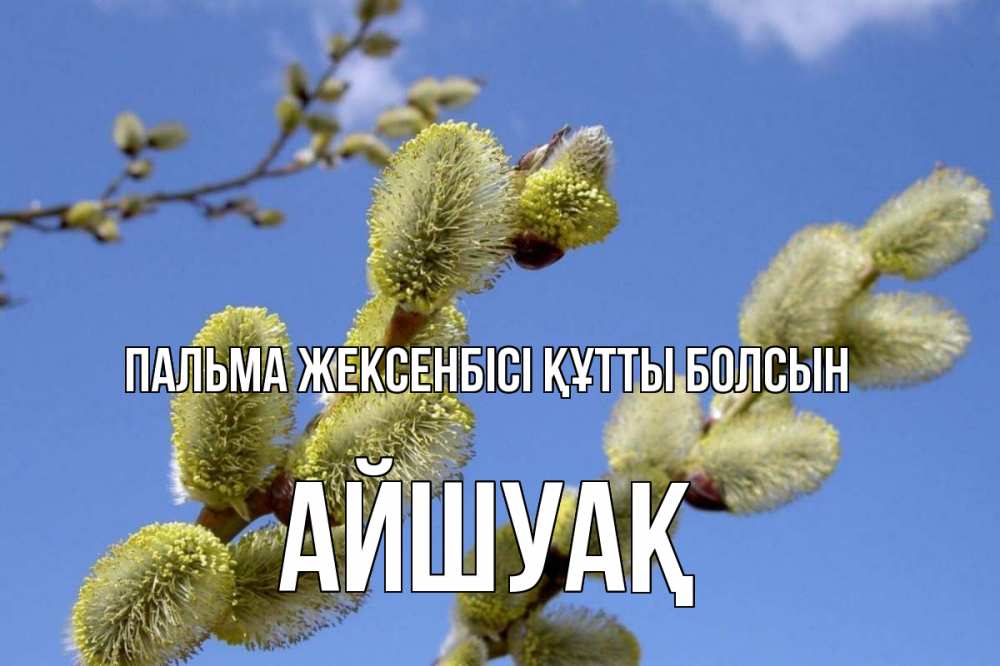 Күн сайын ашық хат с именем, Айшуақ Пальма жексенбісі құтты болсын верба Онлайн тегін жүктеп алу тілектері бар керемет карта 