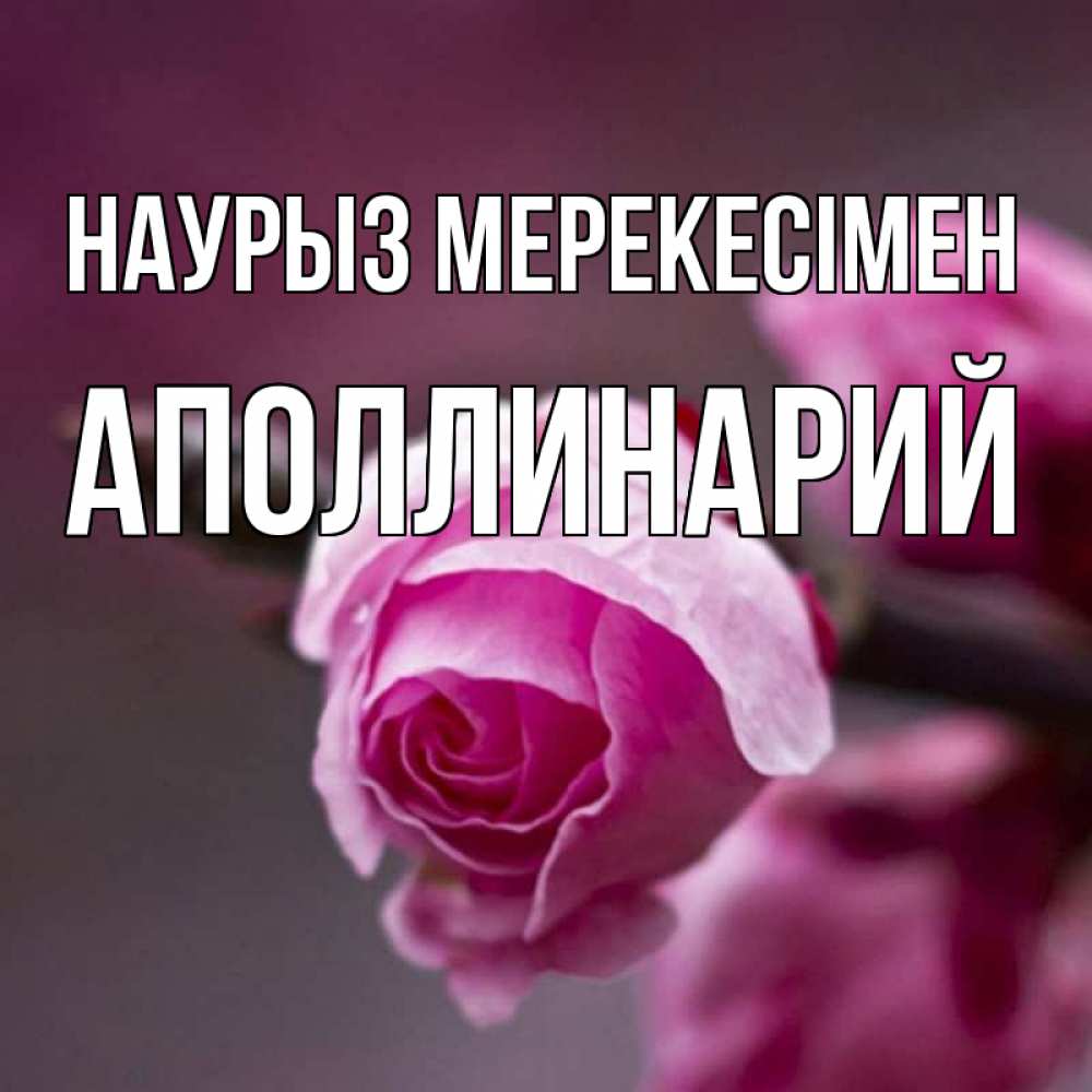 Күн сайын ашық хат с именем, Аполлинарий Наурыз мерекесімен весна Онлайн тегін жүктеп алу тілектері бар керемет карта 