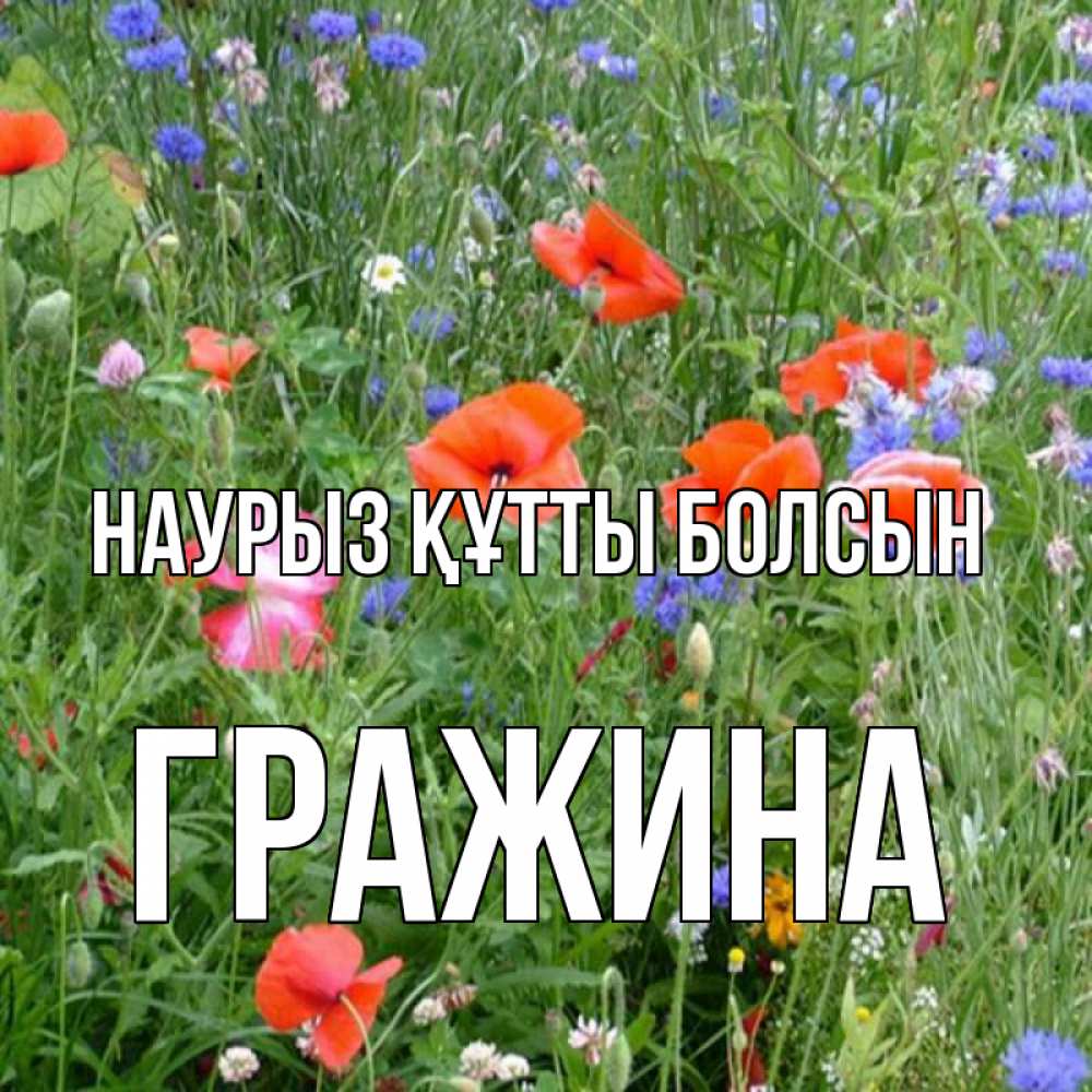 Күн сайын ашық хат с именем, Гражина Наурыз құтты болсын наурыз  4 Онлайн тегін жүктеп алу тілектері бар керемет карта 