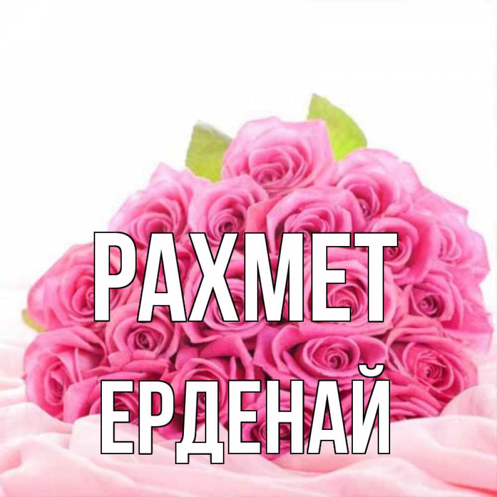 Күн сайын ашық хат с именем, Ерденай рахмет розовые розы с подписью Онлайн тегін жүктеп алу тілектері бар керемет карта 