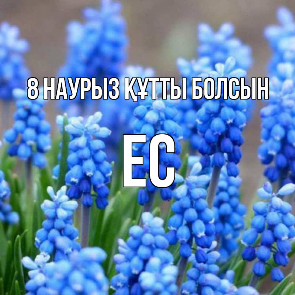 Күн сайын ашық хат с именем, Ес 8 наурыз құтты болсын Поздравительная открытка для женщин с цветами на праздничную дату Онлайн тегін жүктеп алу тілектері бар керемет карта 