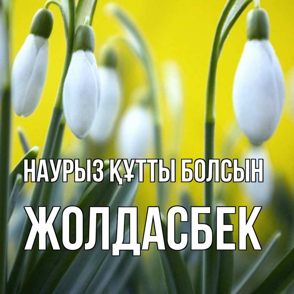 Күн сайын ашық хат с именем, Жолдасбек Наурыз құтты болсын весенние цветы Онлайн тегін жүктеп алу тілектері бар керемет карта 
