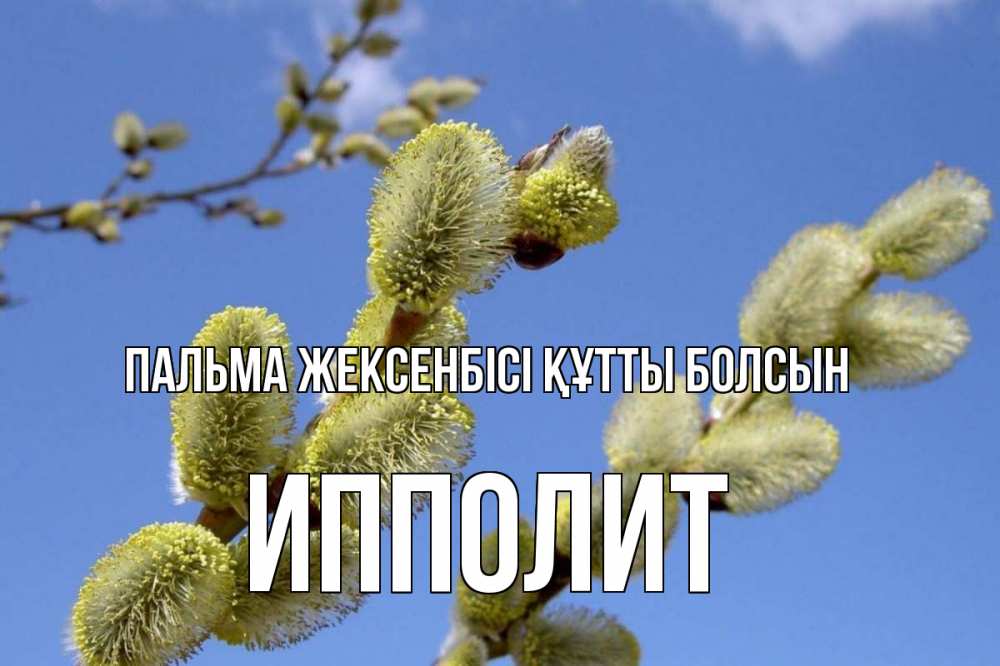 Күн сайын ашық хат с именем, Ипполит Пальма жексенбісі құтты болсын верба Онлайн тегін жүктеп алу тілектері бар керемет карта 