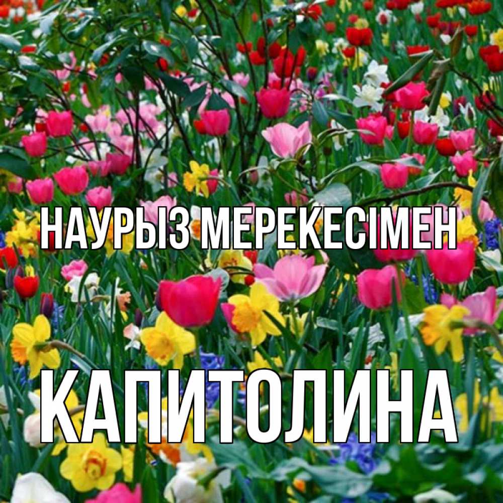 Күн сайын ашық хат с именем, Капитолина Наурыз мерекесімен с наурызом праздником весны поздравления для женщины Онлайн тегін жүктеп алу тілектері бар керемет карта 