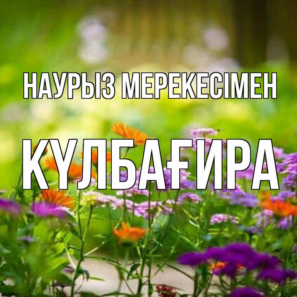 Күн сайын ашық хат с именем, КҮЛБАҒИРА Наурыз мерекесімен цветы Онлайн тегін жүктеп алу тілектері бар керемет карта 