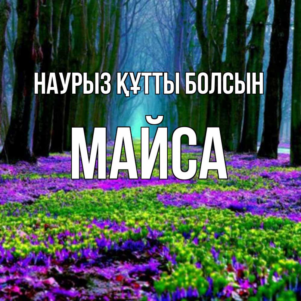 Күн сайын ашық хат с именем, МАЙСА Наурыз құтты болсын фиолетовые цветы в лесу 1 Онлайн тегін жүктеп алу тілектері бар керемет карта 