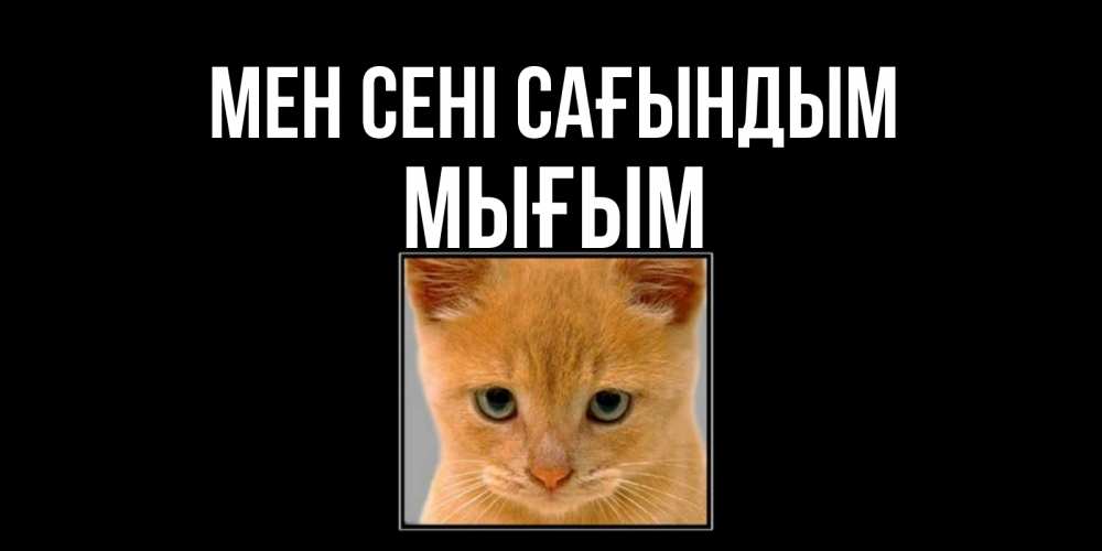 Күн сайын ашық хат с именем, МЫҒЫМ Мен сені сағындым открытки рыжий котенок скучает по тебе Онлайн тегін жүктеп алу тілектері бар керемет карта 
