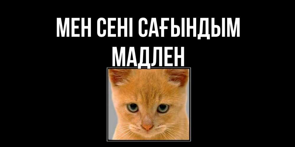 Күн сайын ашық хат с именем, Мадлен Мен сені сағындым открытки рыжий котенок скучает по тебе Онлайн тегін жүктеп алу тілектері бар керемет карта 