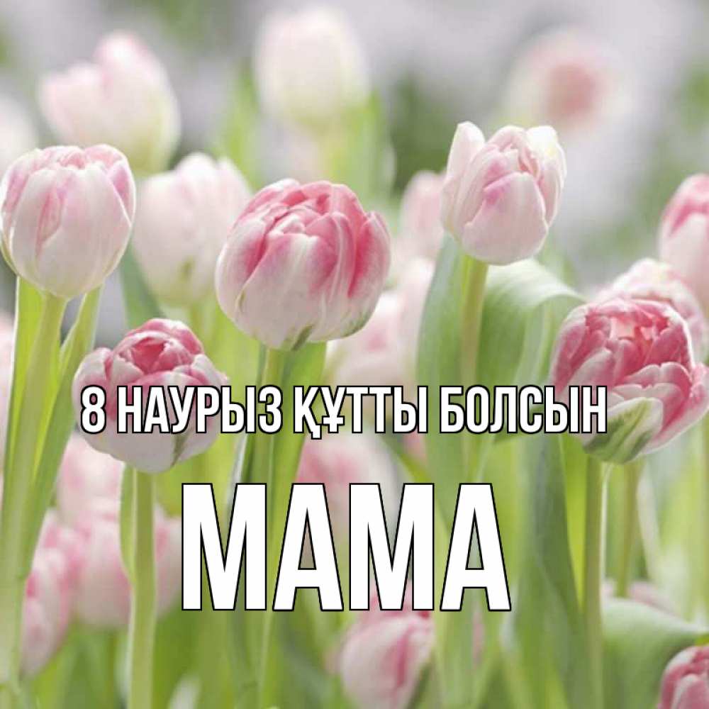 Күн сайын ашық хат с именем, Мама 8 наурыз құтты болсын цветы Онлайн тегін жүктеп алу тілектері бар керемет карта 