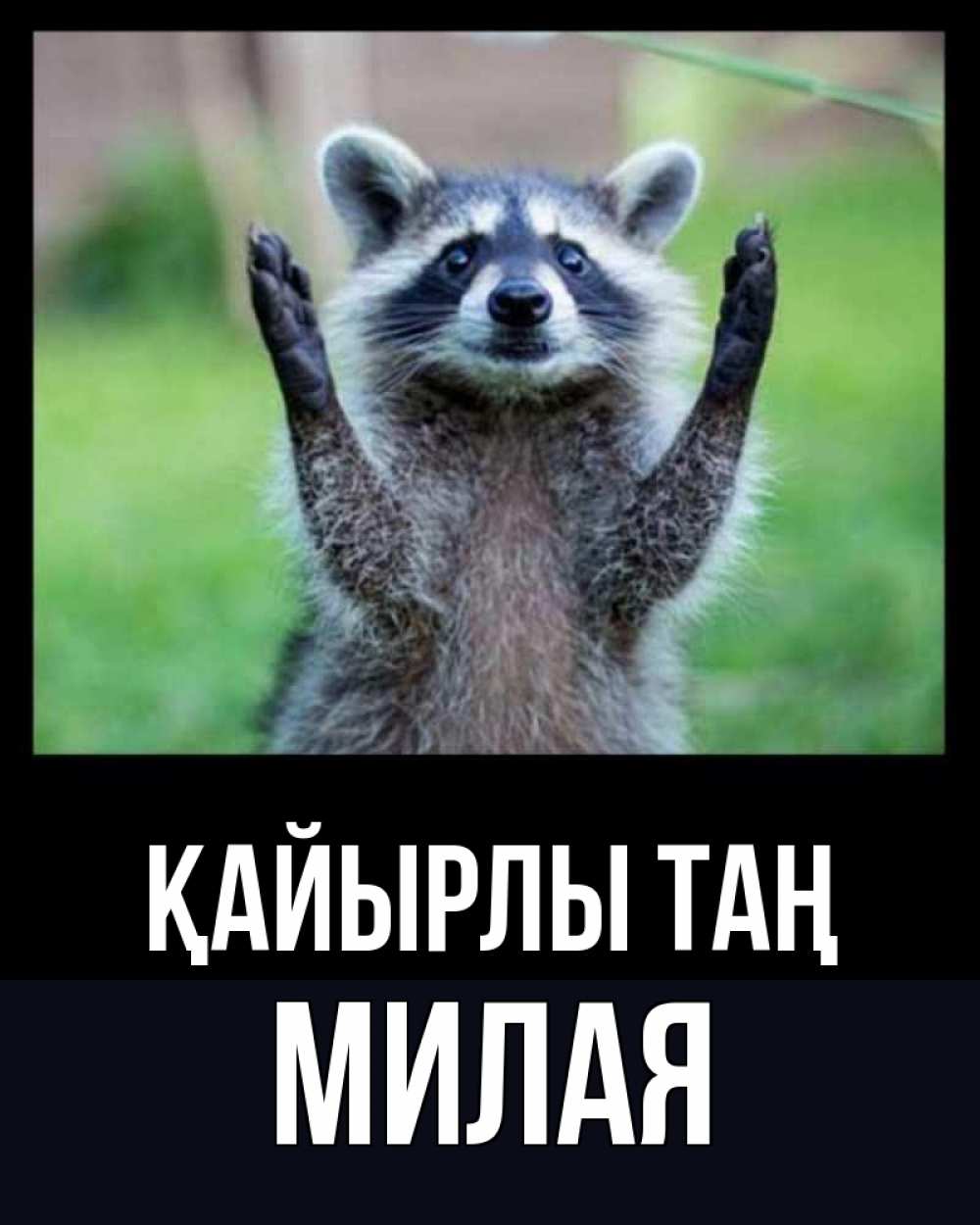 Күн сайын ашық хат с именем, Милая Қайырлы таң хорошее настроение утречком Онлайн тегін жүктеп алу тілектері бар керемет карта 