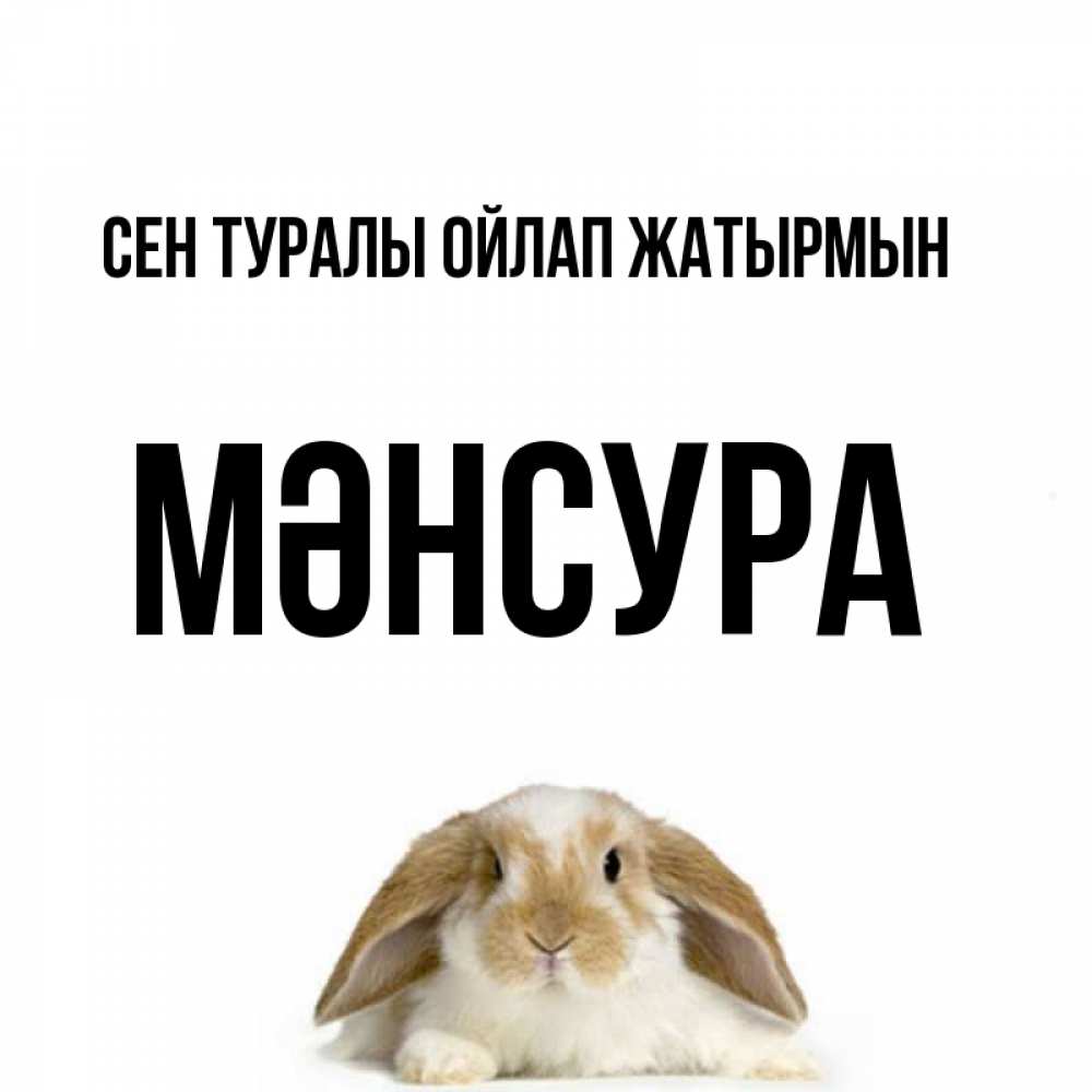 Күн сайын ашық хат с именем, МӘНСУРА Сен туралы ойлап жатырмын подписать своими руками онлайн Онлайн тегін жүктеп алу тілектері бар керемет карта 