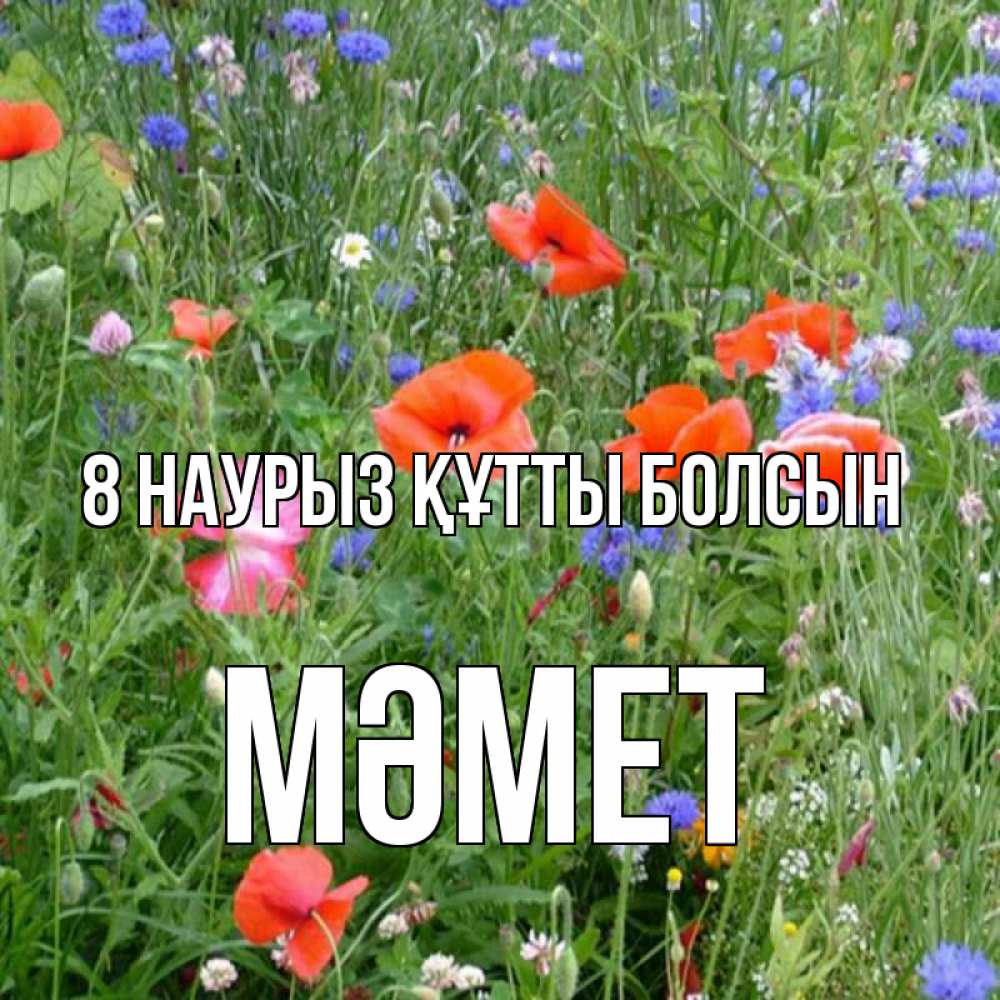 Күн сайын ашық хат с именем, Мәмет 8 наурыз құтты болсын международный женский день 4 Онлайн тегін жүктеп алу тілектері бар керемет карта 
