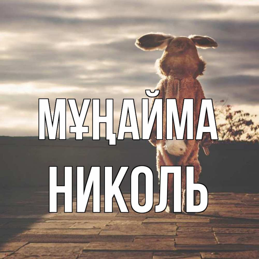 Күн сайын ашық хат с именем, Николь Мұңайма со спины Онлайн тегін жүктеп алу тілектері бар керемет карта 