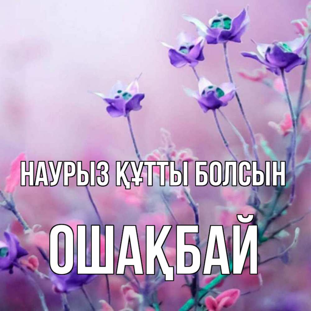 Күн сайын ашық хат с именем, ОШАҚБАЙ Наурыз құтты болсын наурыз  2 Онлайн тегін жүктеп алу тілектері бар керемет карта 