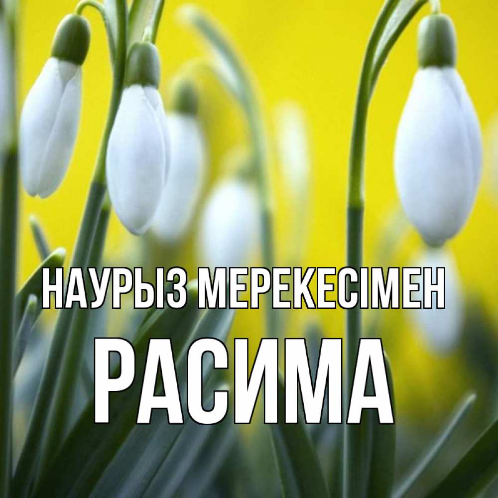 Күн сайын ашық хат с именем, РАСИМА Наурыз мерекесімен весенние цветы Онлайн тегін жүктеп алу тілектері бар керемет карта 