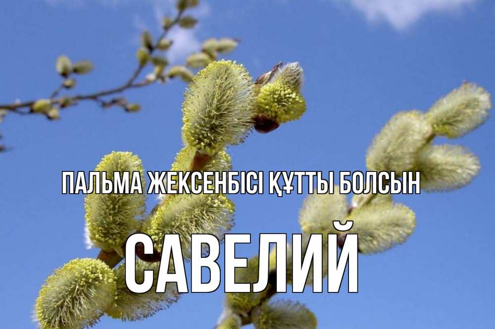 Күн сайын ашық хат с именем, Савелий Пальма жексенбісі құтты болсын верба Онлайн тегін жүктеп алу тілектері бар керемет карта 