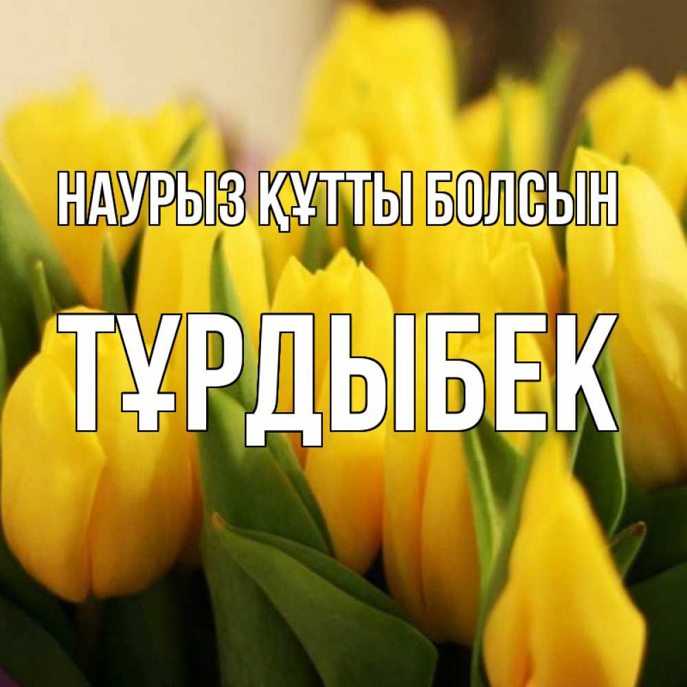 Күн сайын ашық хат с именем, ТҰРДЫБЕК Наурыз құтты болсын цветы Онлайн тегін жүктеп алу тілектері бар керемет карта 