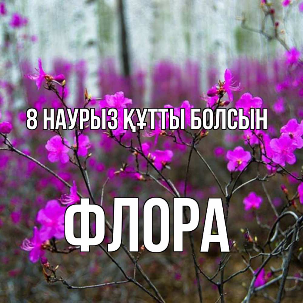 Күн сайын ашық хат с именем, Флора 8 наурыз құтты болсын дикие цветы Онлайн тегін жүктеп алу тілектері бар керемет карта 