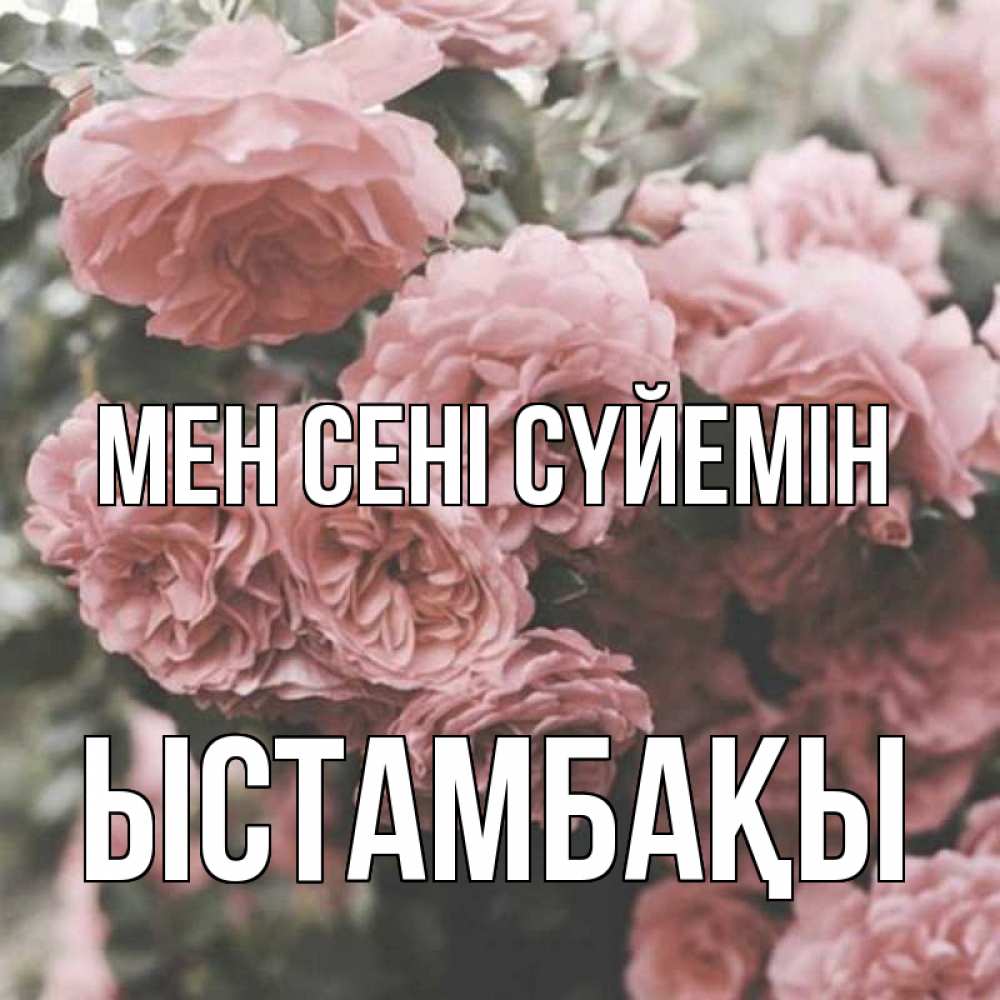 Күн сайын ашық хат с именем, ЫСТАМБАҚЫ Мен сені сүйемін розы 3 Онлайн тегін жүктеп алу тілектері бар керемет карта 