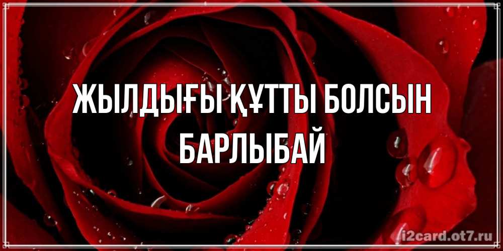 Күн сайын ашық хат с именем, Барлыбай Жылдығы құтты болсын крупная бордовая роза Онлайн тегін жүктеп алу тілектері бар керемет карта 
