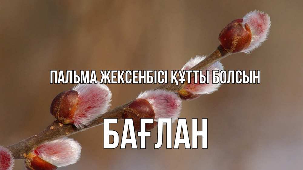 Күн сайын ашық хат с именем, Бағлан Пальма жексенбісі құтты болсын верба Онлайн тегін жүктеп алу тілектері бар керемет карта 