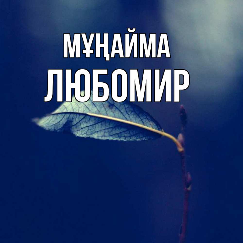 Күн сайын ашық хат с именем, Любомир Мұңайма растение Онлайн тегін жүктеп алу тілектері бар керемет карта 