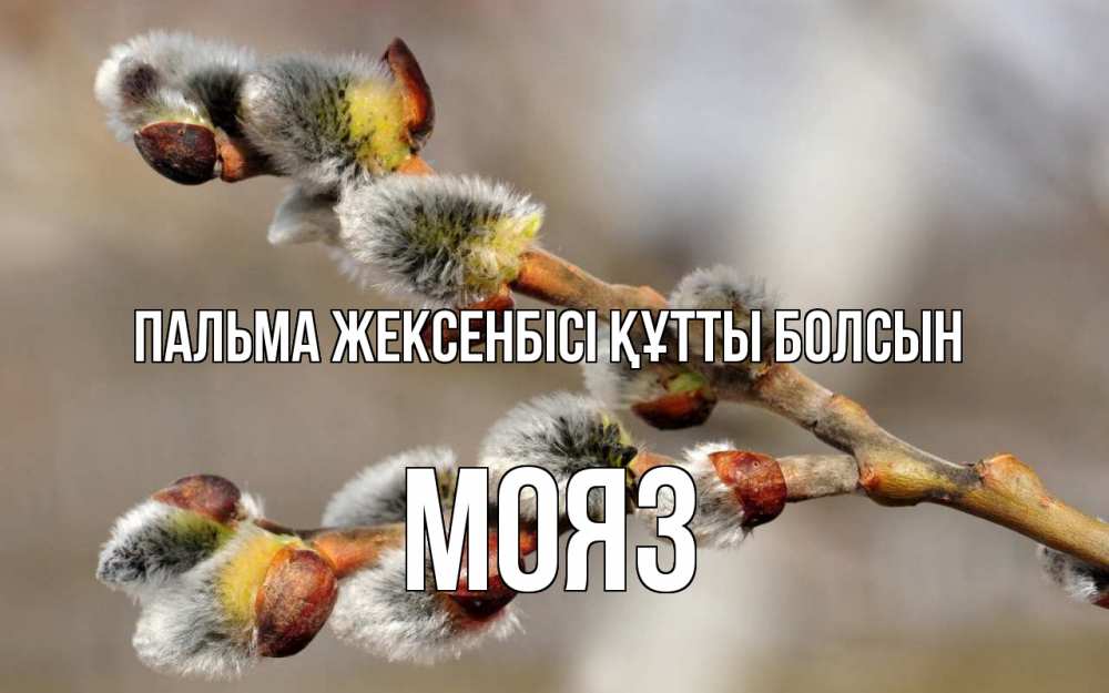 Күн сайын ашық хат с именем, МОЯЗ Пальма жексенбісі құтты болсын Верба Онлайн тегін жүктеп алу тілектері бар керемет карта 