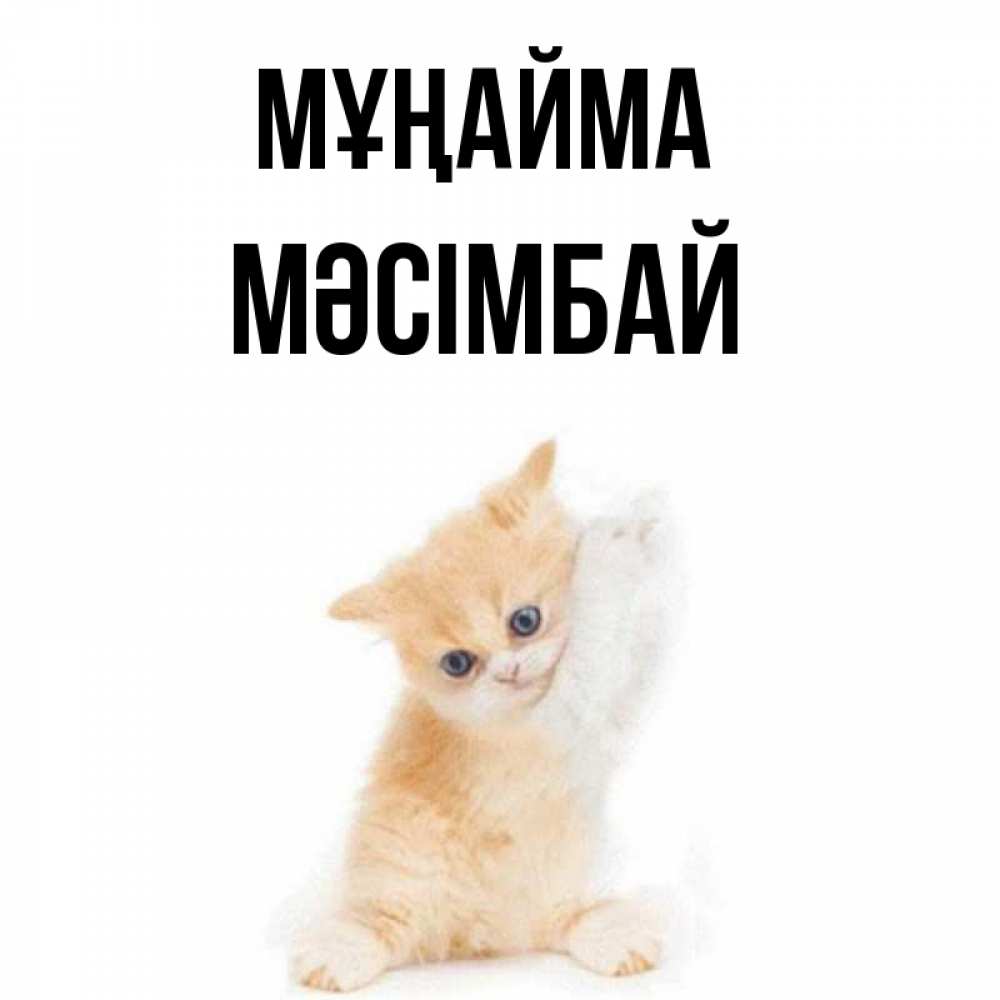 Күн сайын ашық хат с именем, МӘСІМБАЙ Мұңайма просящий кот Онлайн тегін жүктеп алу тілектері бар керемет карта 