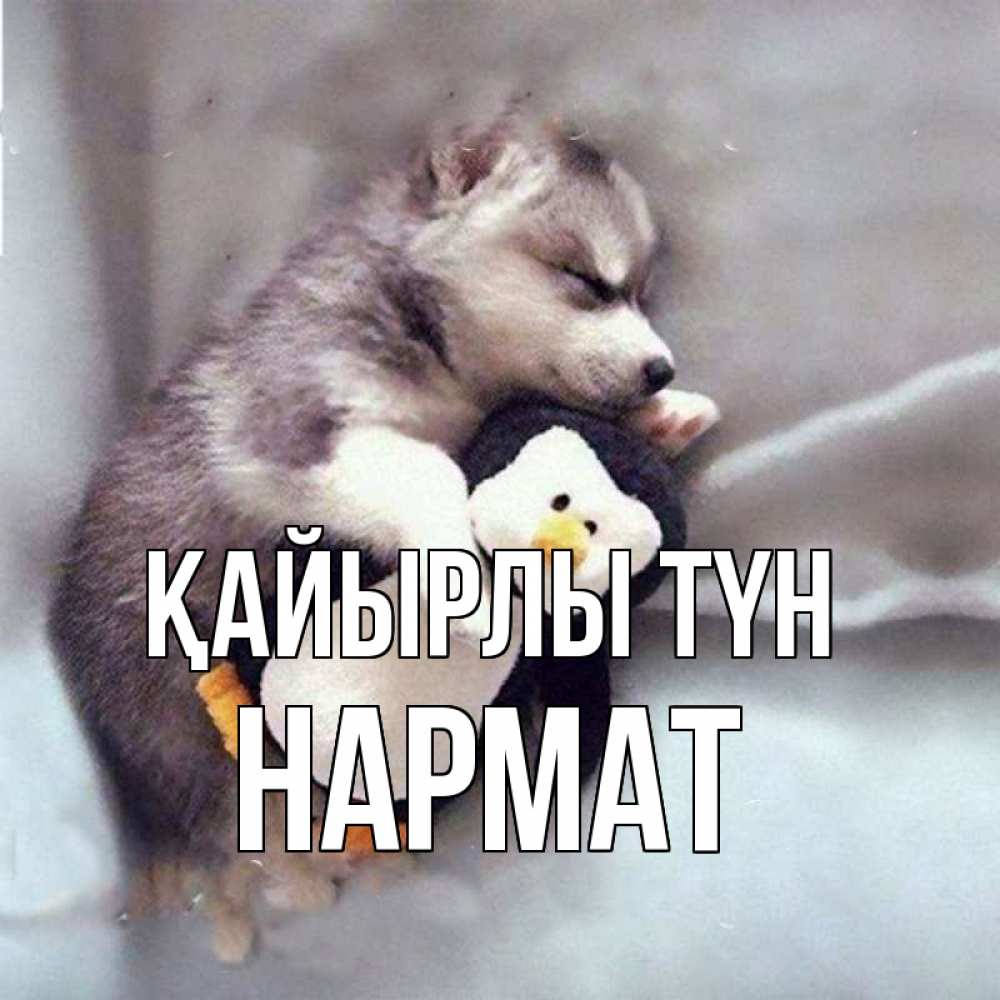 Күн сайын ашық хат с именем, Нармат Қайырлы түн обнимашки щенка и пингвина Онлайн тегін жүктеп алу тілектері бар керемет карта 