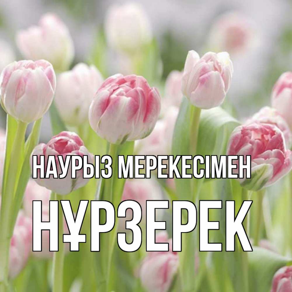 Күн сайын ашық хат с именем, НҰРЗЕРЕК Наурыз мерекесімен цветы Онлайн тегін жүктеп алу тілектері бар керемет карта 