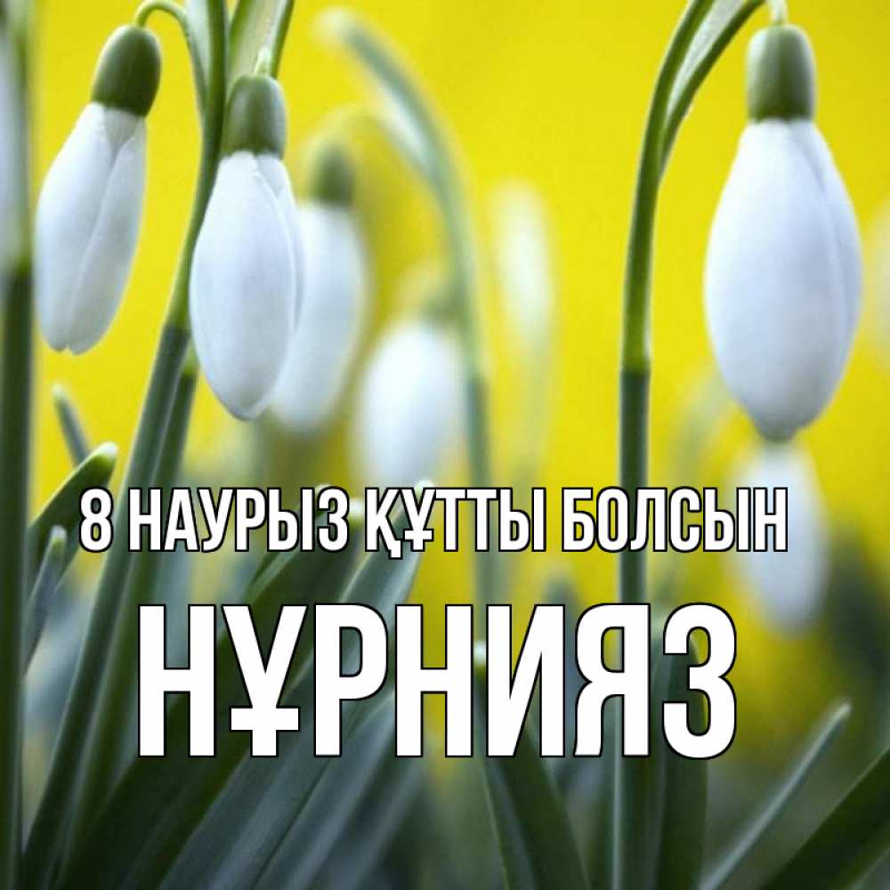 Күн сайын ашық хат с именем, НҰРНИЯЗ 8 наурыз құтты болсын весенние цветы Онлайн тегін жүктеп алу тілектері бар керемет карта 