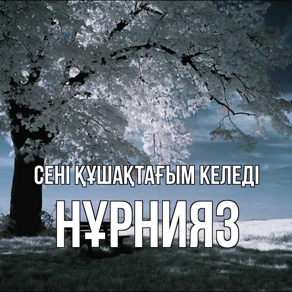 Күн сайын ашық хат с именем, НҰРНИЯЗ сені құшақтағым келеді дерево Онлайн тегін жүктеп алу тілектері бар керемет карта 