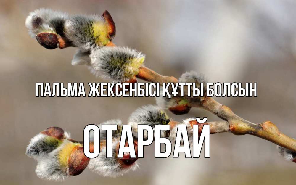 Күн сайын ашық хат с именем, ОТАРБАЙ Пальма жексенбісі құтты болсын Верба Онлайн тегін жүктеп алу тілектері бар керемет карта 