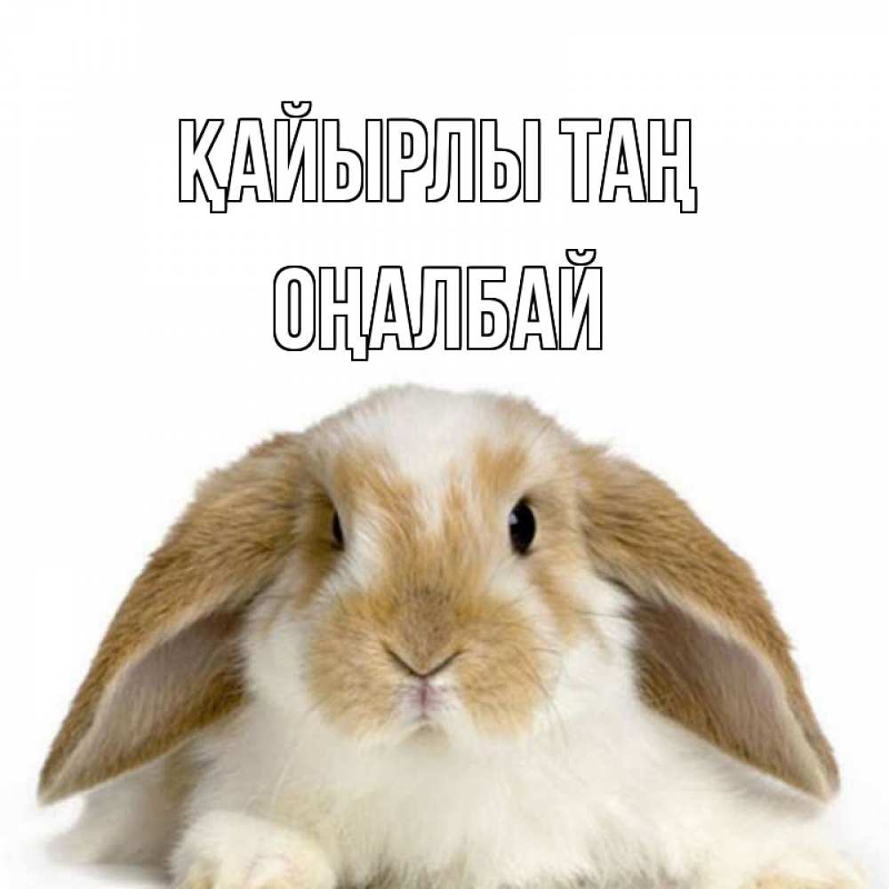 Күн сайын ашық хат с именем, ОҢАЛБАЙ Қайырлы таң прикольные открытки на каждый день Онлайн тегін жүктеп алу тілектері бар керемет карта 