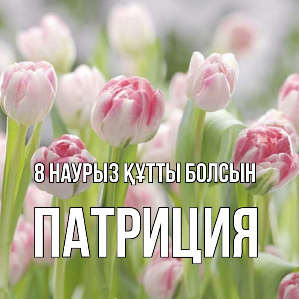 Күн сайын ашық хат с именем, Патриция 8 наурыз құтты болсын цветы Онлайн тегін жүктеп алу тілектері бар керемет карта 