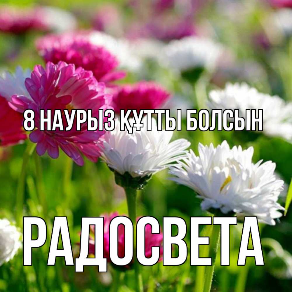 Күн сайын ашық хат с именем, Радосвета 8 наурыз құтты болсын международный женский день 1 Онлайн тегін жүктеп алу тілектері бар керемет карта 