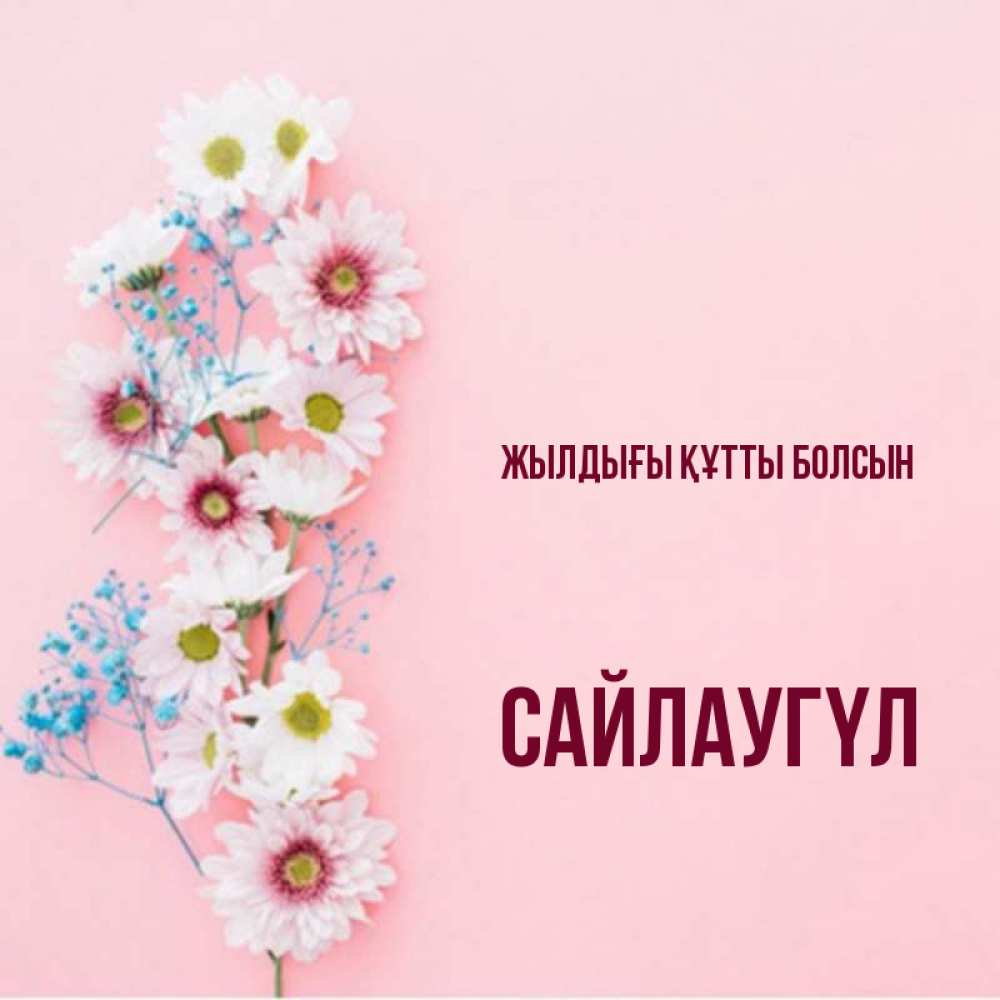 Күн сайын ашық хат с именем, САЙЛАУГҮЛ Жылдығы құтты болсын Родная моя с днем рождения тебя картинка с цветами белыми и голубыми Онлайн тегін жүктеп алу тілектері бар керемет карта 