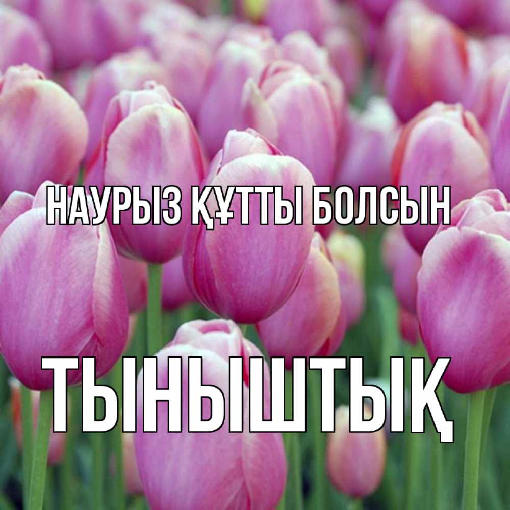 Күн сайын ашық хат с именем, ТЫНЫШТЫҚ Наурыз құтты болсын на наурыз  день 3 Онлайн тегін жүктеп алу тілектері бар керемет карта 