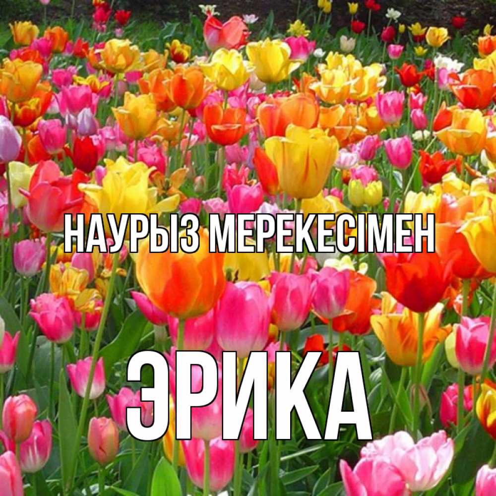 Күн сайын ашық хат с именем, Эрика Наурыз мерекесімен праздник весны наурыз 4 Онлайн тегін жүктеп алу тілектері бар керемет карта 