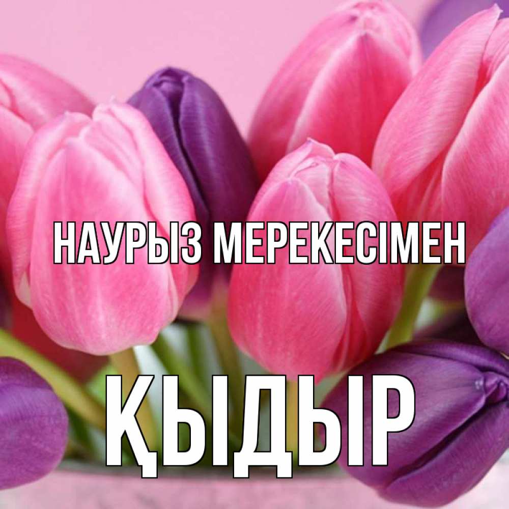 Күн сайын ашық хат с именем, ҚЫДЫР Наурыз мерекесімен маме 1 Онлайн тегін жүктеп алу тілектері бар керемет карта 