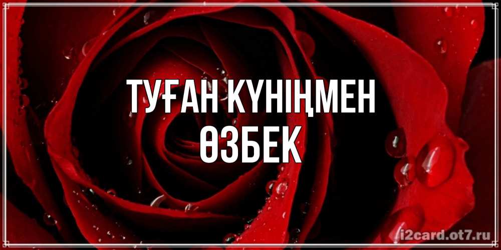Күн сайын ашық хат с именем, ӨЗБЕК Туған күніңмен крупная бордовая роза Онлайн тегін жүктеп алу тілектері бар керемет карта 