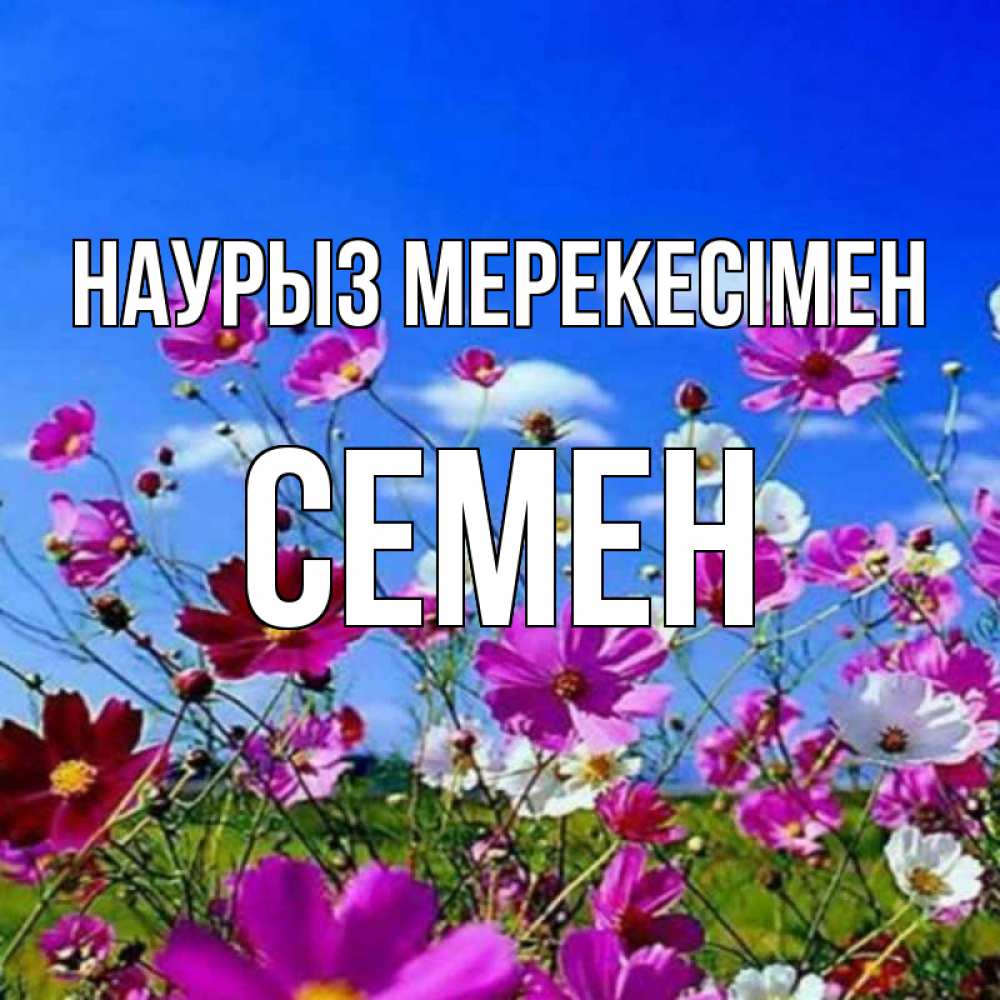 Күн сайын ашық хат с именем, Семен Наурыз мерекесімен цветы Онлайн тегін жүктеп алу тілектері бар керемет карта 