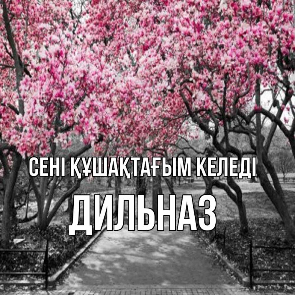 Күн сайын ашық хат с именем, ДИЛЬНАЗ сені құшақтағым келеді обработанное фото Онлайн тегін жүктеп алу тілектері бар керемет карта 