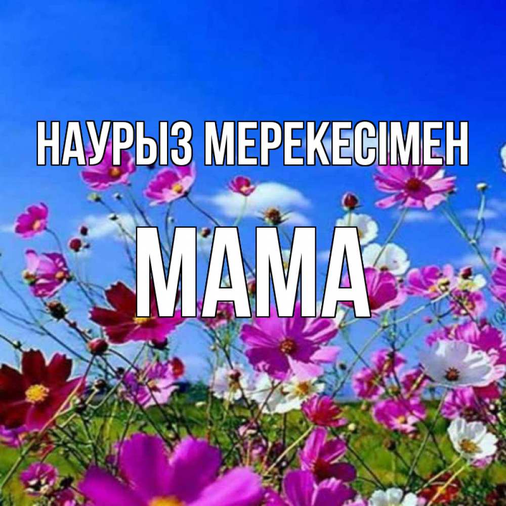 Күн сайын ашық хат с именем, Мама Наурыз мерекесімен цветы Онлайн тегін жүктеп алу тілектері бар керемет карта 