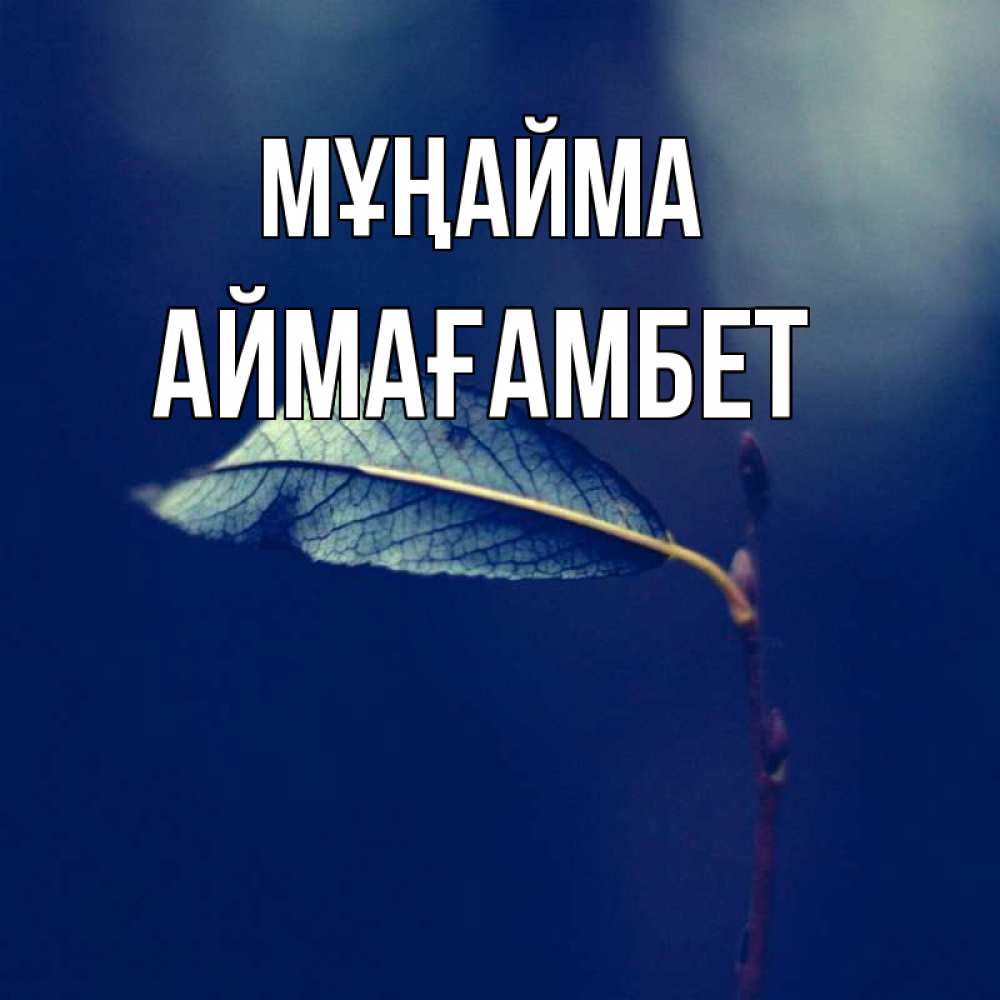 Күн сайын ашық хат с именем, Аймағамбет Мұңайма растение Онлайн тегін жүктеп алу тілектері бар керемет карта 