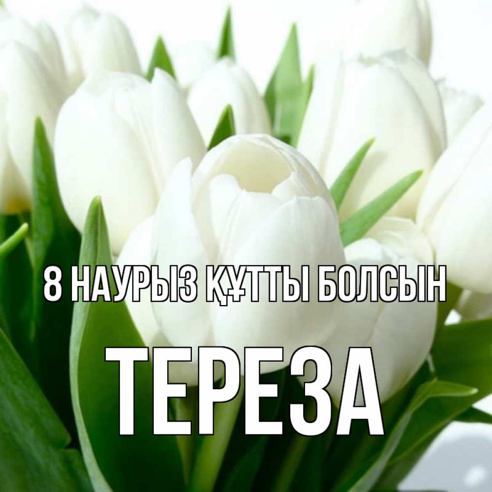 Күн сайын ашық хат с именем, Тереза 8 наурыз құтты болсын цветы Онлайн тегін жүктеп алу тілектері бар керемет карта 