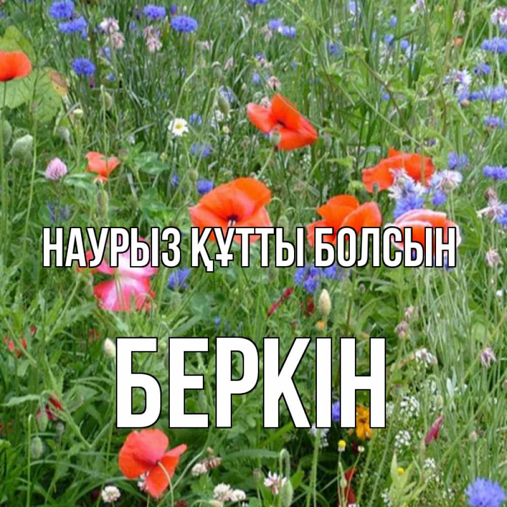 Күн сайын ашық хат с именем, Беркін Наурыз құтты болсын наурыз  4 Онлайн тегін жүктеп алу тілектері бар керемет карта 