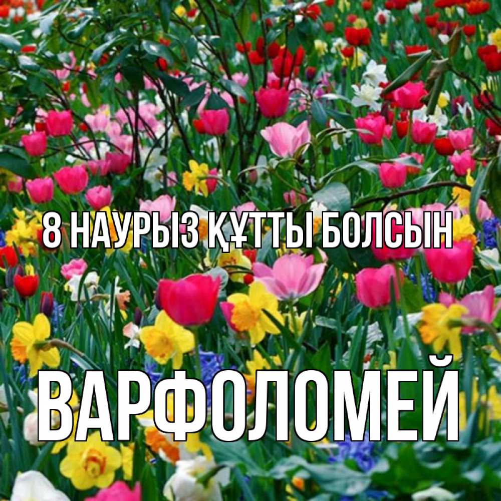 Күн сайын ашық хат с именем, Варфоломей 8 наурыз құтты болсын с международным женским днем поздравления для женщины Онлайн тегін жүктеп алу тілектері бар керемет карта 